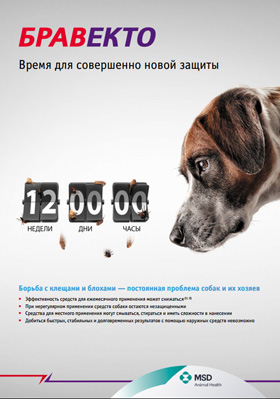 Bravecto - новое средство для защиты собак от клещей и блох